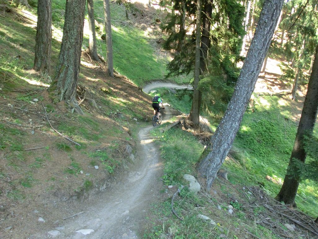 Propain-Trail